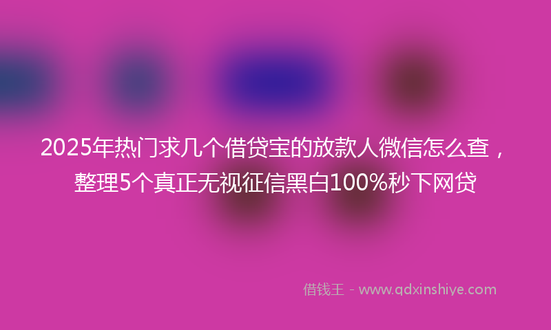 2025年热门求几个借贷宝的放款人微信怎么查，整理5个真正无视征信黑白100%秒下网贷