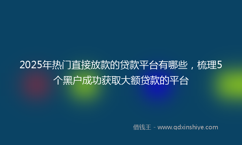 2025年热门直接放款的贷款平台有哪些，梳理5个黑户成功获取大额贷款的平台