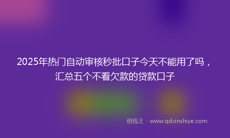 2025年热门自动审核秒批口子今天不能用了吗，汇总五个不看欠款的贷款口子