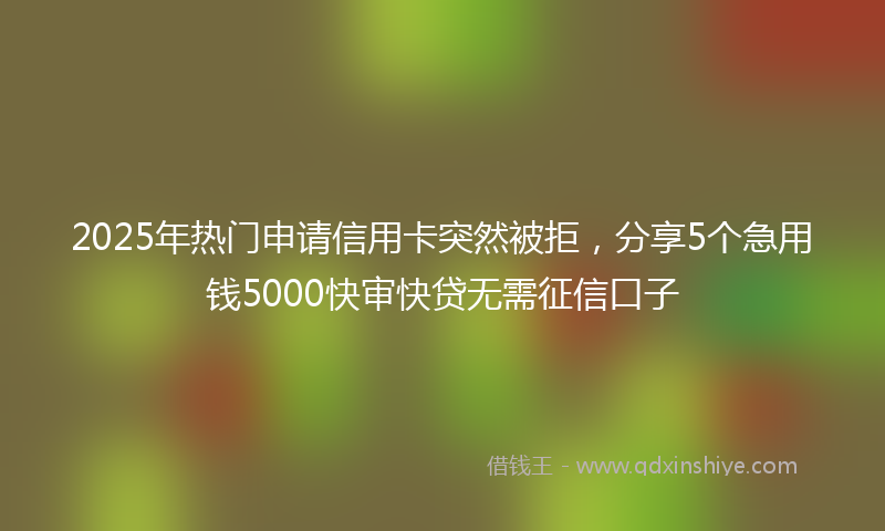 2025年热门申请信用卡突然被拒，分享5个急用钱5000快审快贷无需征信口子