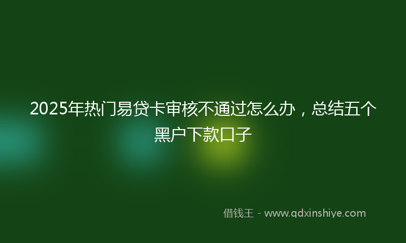 2025年热门易贷卡审核不通过怎么办，总结五个黑户下款口子
