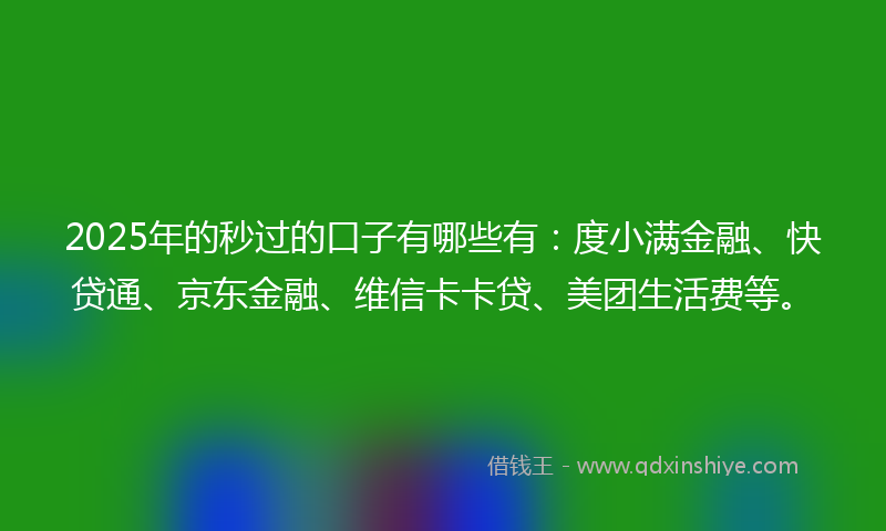 2025年的秒过的口子有哪些有：度小满金融、快贷通、京东金融、维信卡卡贷、美团生活费等。