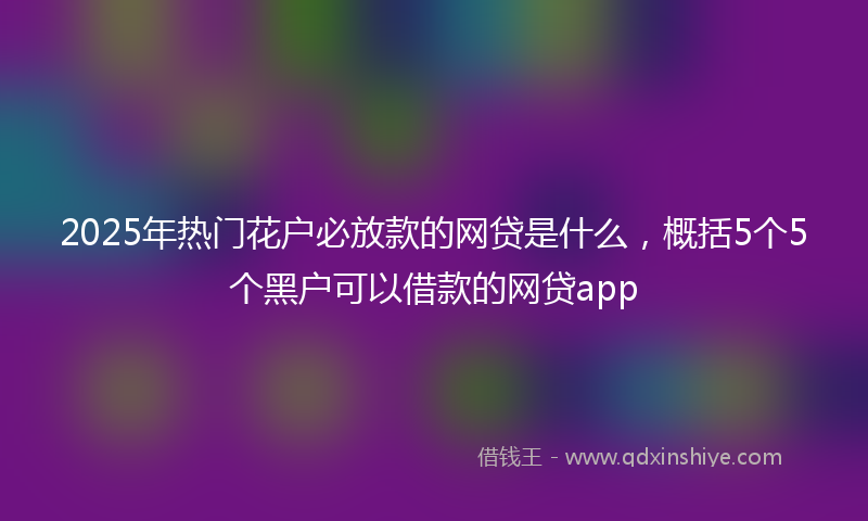 2025年热门花户必放款的网贷是什么，概括5个5个黑户可以借款的网贷app