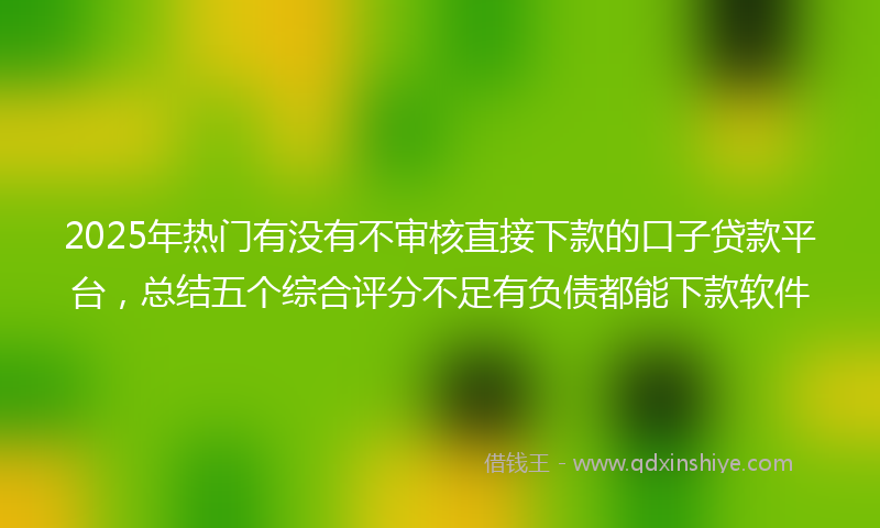 2025年热门有没有不审核直接下款的口子贷款平台，总结五个综合评分不足有负债都能下款软件