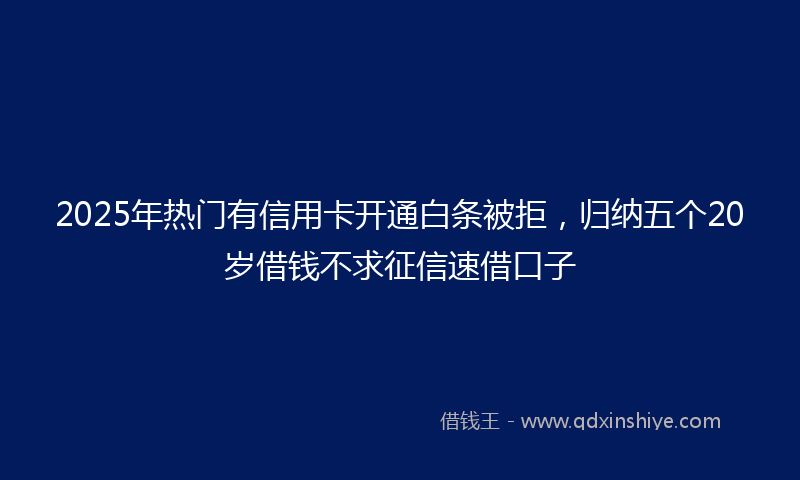 2025年热门有信用卡开通白条被拒，归纳五个20岁借钱不求征信速借口子