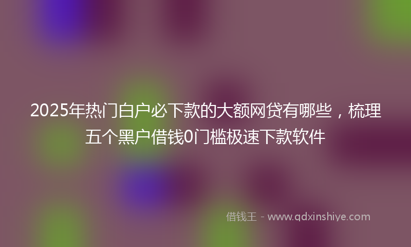 2025年热门白户必下款的大额网贷有哪些，梳理五个黑户借钱0门槛极速下款软件