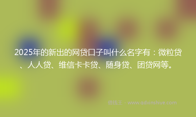 2025年的新出的网贷口子叫什么名字有：微粒贷、人人贷、维信卡卡贷、随身贷、团贷网等。