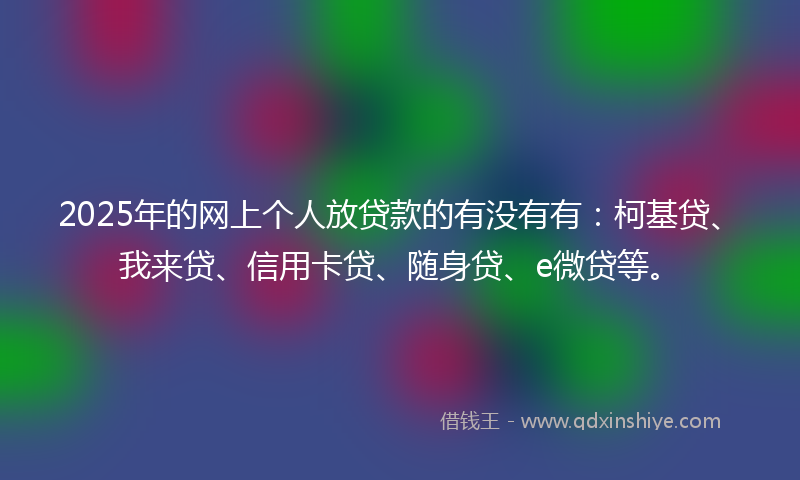2025年的网上个人放贷款的有没有有：柯基贷、我来贷、信用卡贷、随身贷、e微贷等。