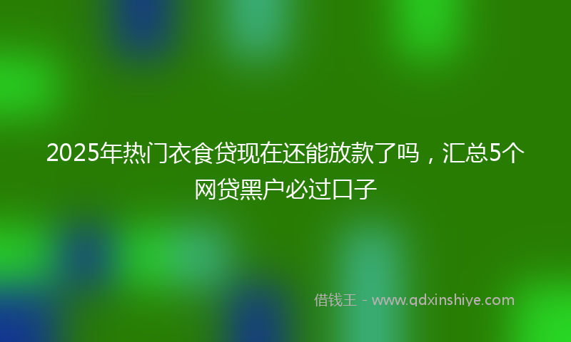 2025年热门衣食贷现在还能放款了吗，汇总5个网贷黑户必过口子