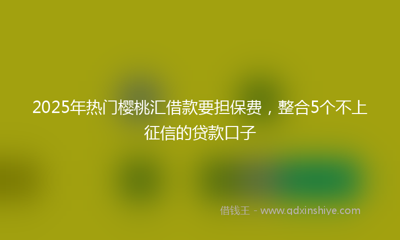 2025年热门樱桃汇借款要担保费，整合5个不上征信的贷款口子