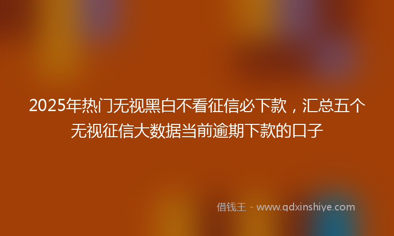 2025年热门无视黑白不看征信必下款，汇总五个无视征信大数据当前逾期下款的口子