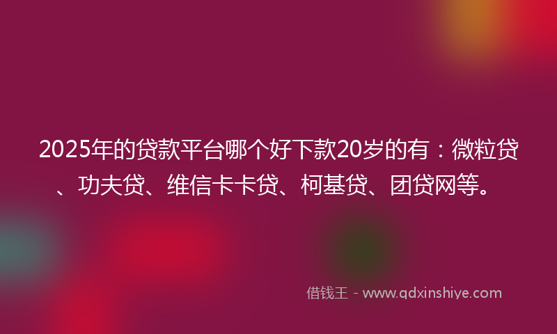 2025年的贷款平台哪个好下款20岁的有：微粒贷、功夫贷、维信卡卡贷、柯基贷、团贷网等。