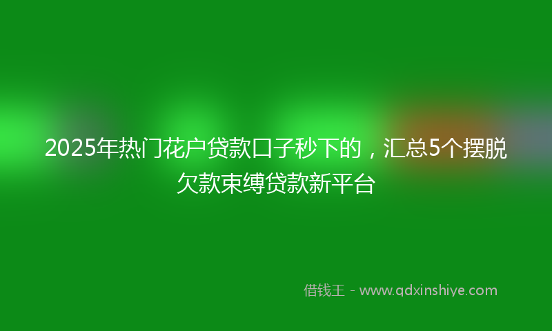 2025年热门花户贷款口子秒下的，汇总5个摆脱欠款束缚贷款新平台