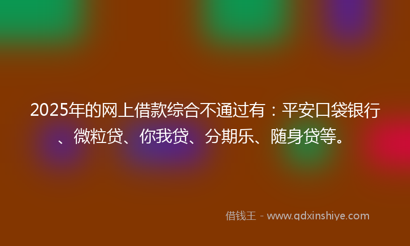 2025年的网上借款综合不通过有：平安口袋银行、微粒贷、你我贷、分期乐、随身贷等。