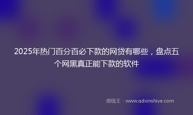 2025年热门百分百必下款的网贷有哪些，盘点五个网黑真正能下款的软件
