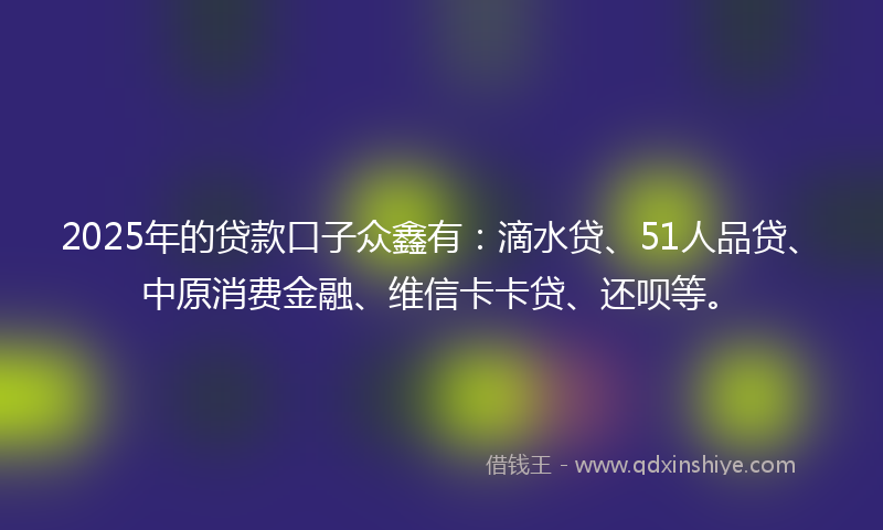 2025年的贷款口子众鑫有：滴水贷、51人品贷、中原消费金融、维信卡卡贷、还呗等。