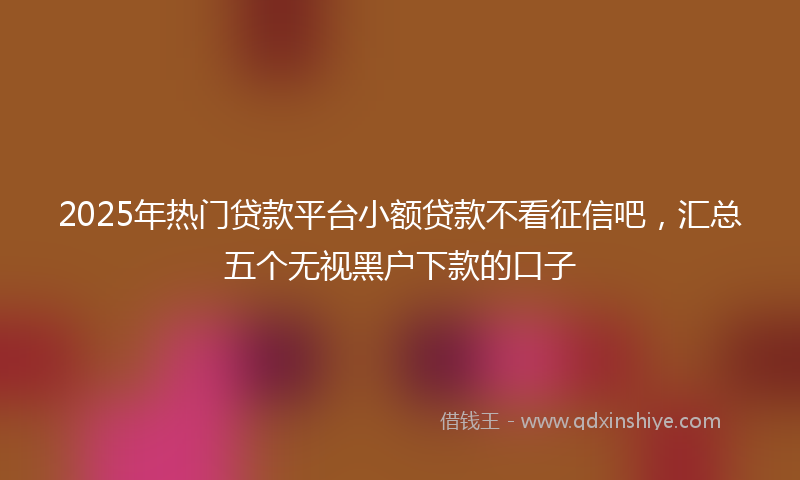 2025年热门贷款平台小额贷款不看征信吧，汇总五个无视黑户下款的口子