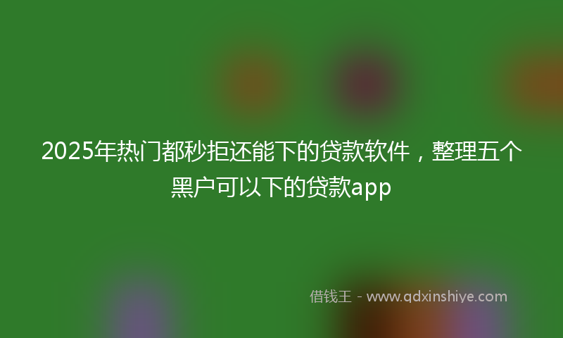 2025年热门都秒拒还能下的贷款软件，整理五个黑户可以下的贷款app