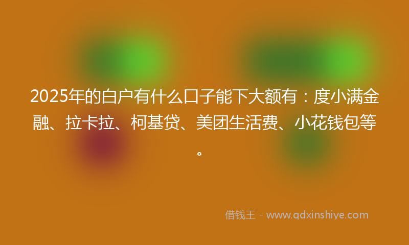 2025年的白户有什么口子能下大额有：度小满金融、拉卡拉、柯基贷、美团生活费、小花钱包等。