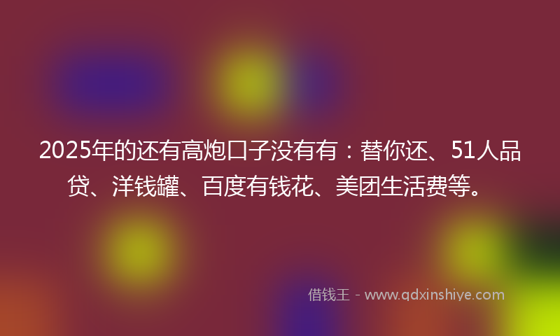 2025年的还有高炮口子没有有：替你还、51人品贷、洋钱罐、百度有钱花、美团生活费等。
