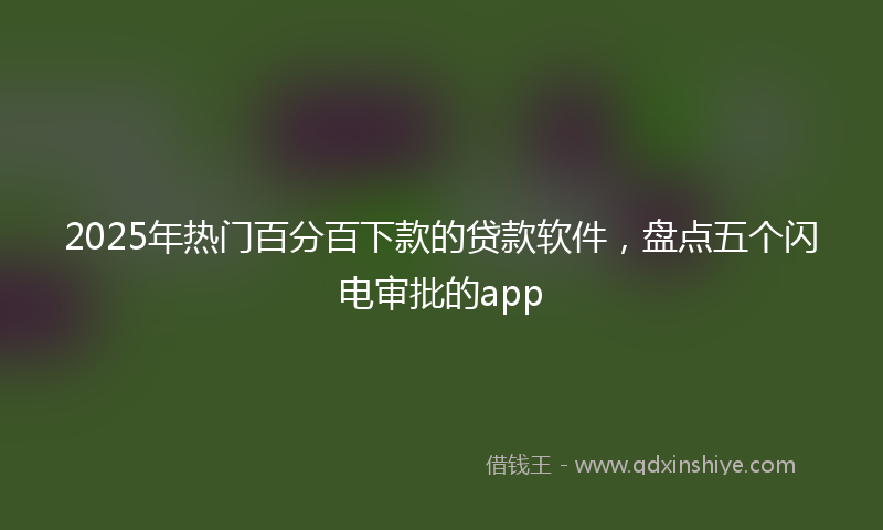 2025年热门百分百下款的贷款软件，盘点五个闪电审批的app