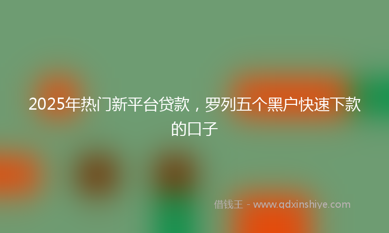2025年热门新平台贷款，罗列五个黑户快速下款的口子