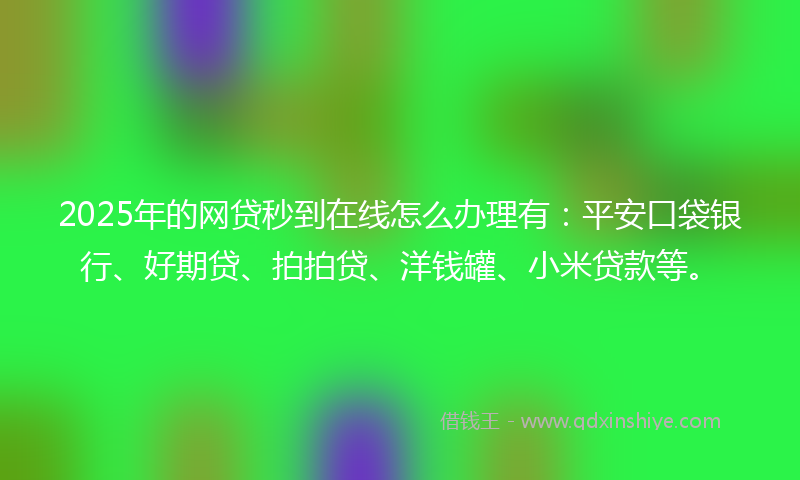 2025年的网贷秒到在线怎么办理有：平安口袋银行、好期贷、拍拍贷、洋钱罐、小米贷款等。