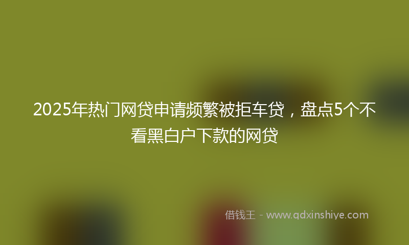 2025年热门网贷申请频繁被拒车贷，盘点5个不看黑白户下款的网贷
