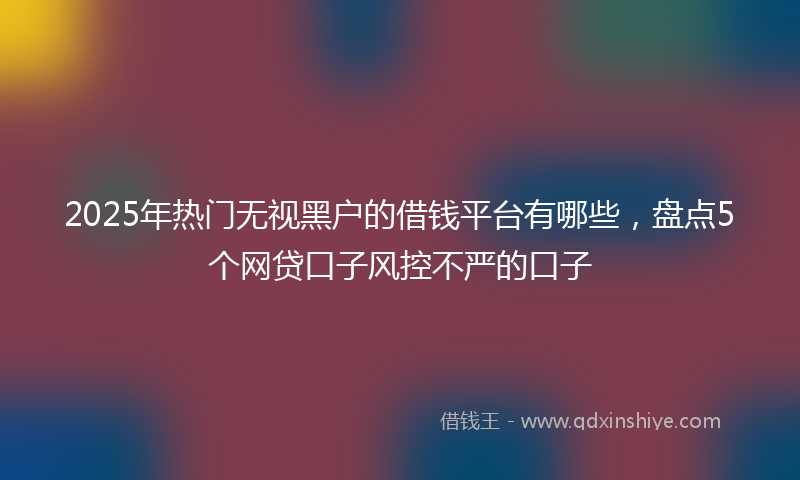 2025年热门无视黑户的借钱平台有哪些，盘点5个网贷口子风控不严的口子