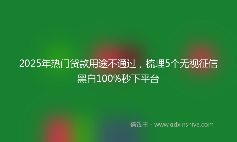 2025年热门贷款用途不通过，梳理5个无视征信黑白100%秒下平台