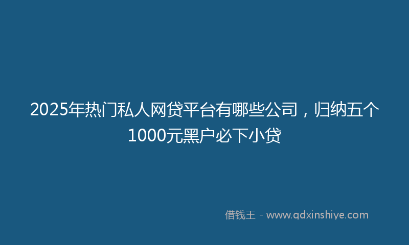 2025年热门私人网贷平台有哪些公司，归纳五个1000元黑户必下小贷