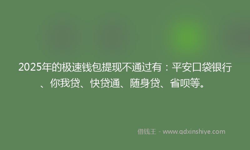 2025年的极速钱包提现不通过有：平安口袋银行、你我贷、快贷通、随身贷、省呗等。
