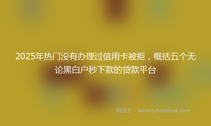 2025年热门没有办理过信用卡被拒，概括五个无论黑白户秒下款的贷款平台