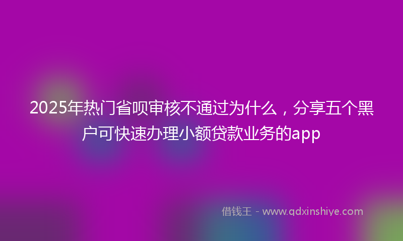2025年热门省呗审核不通过为什么，分享五个黑户可快速办理小额贷款业务的app