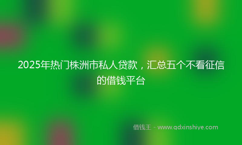 2025年热门株洲市私人贷款，汇总五个不看征信的借钱平台