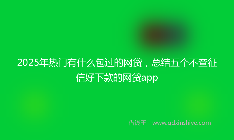 2025年热门有什么包过的网贷，总结五个不查征信好下款的网贷app