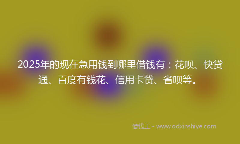 2025年的现在急用钱到哪里借钱有：花呗、快贷通、百度有钱花、信用卡贷、省呗等。