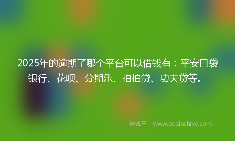 2025年的逾期了哪个平台可以借钱有：平安口袋银行、花呗、分期乐、拍拍贷、功夫贷等。