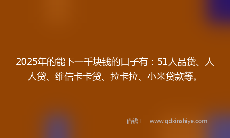 2025年的能下一千块钱的口子有：51人品贷、人人贷、维信卡卡贷、拉卡拉、小米贷款等。