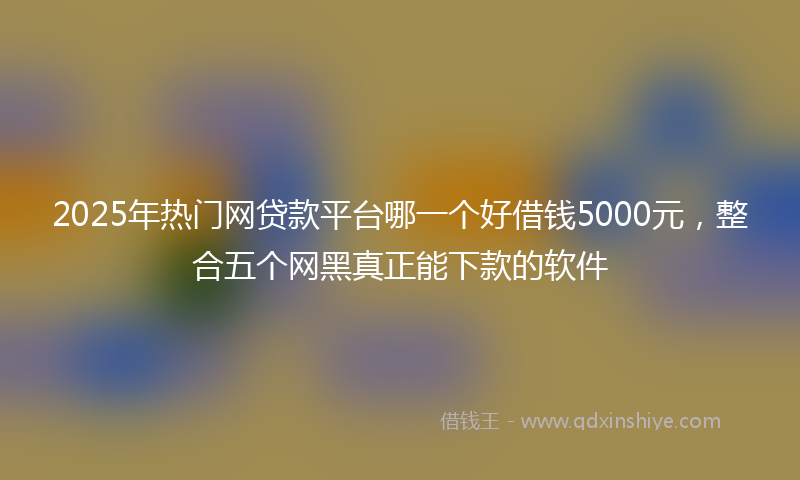 2025年热门网贷款平台哪一个好借钱5000元，整合五个网黑真正能下款的软件