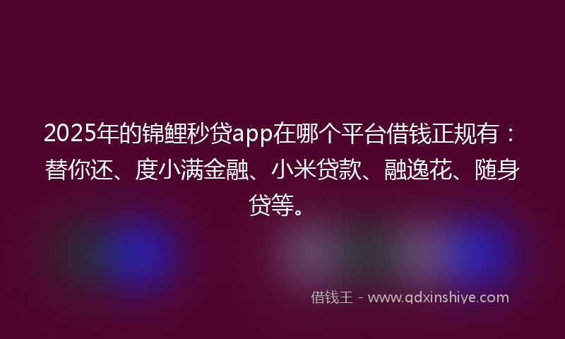 2025年的锦鲤秒贷app在哪个平台借钱正规有：替你还、度小满金融、小米贷款、融逸花、随身贷等。