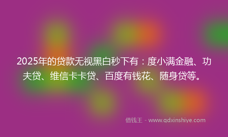 2025年的贷款无视黑白秒下有：度小满金融、功夫贷、维信卡卡贷、百度有钱花、随身贷等。