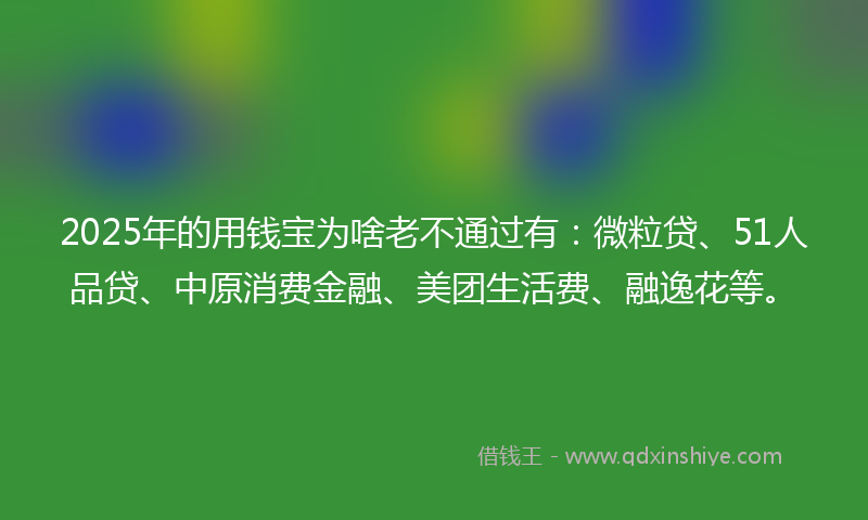 2025年的用钱宝为啥老不通过有：微粒贷、51人品贷、中原消费金融、美团生活费、融逸花等。