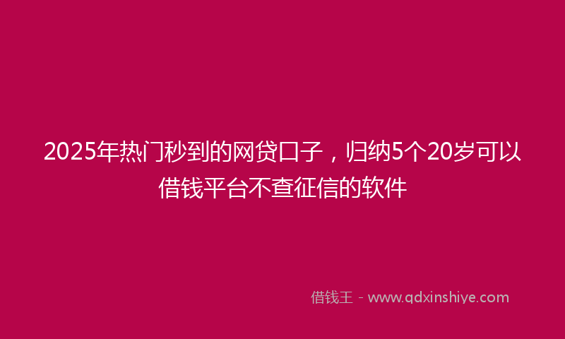 2025年热门秒到的网贷口子，归纳5个20岁可以借钱平台不查征信的软件