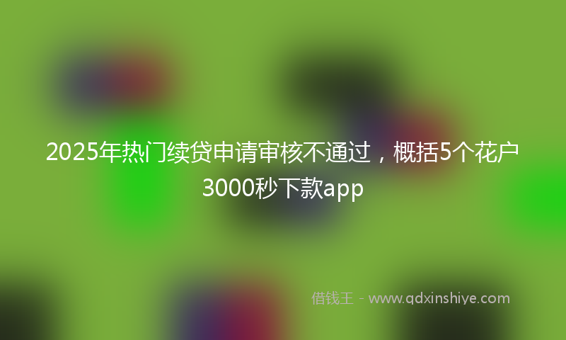 2025年热门续贷申请审核不通过，概括5个花户3000秒下款app