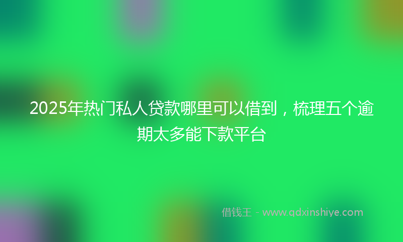 2025年热门私人贷款哪里可以借到，梳理五个逾期太多能下款平台