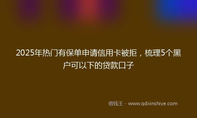 2025年热门有保单申请信用卡被拒，梳理5个黑户可以下的贷款口子