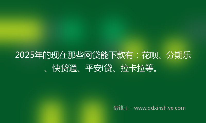 2025年的现在那些网贷能下款有：花呗、分期乐、快贷通、平安i贷、拉卡拉等。