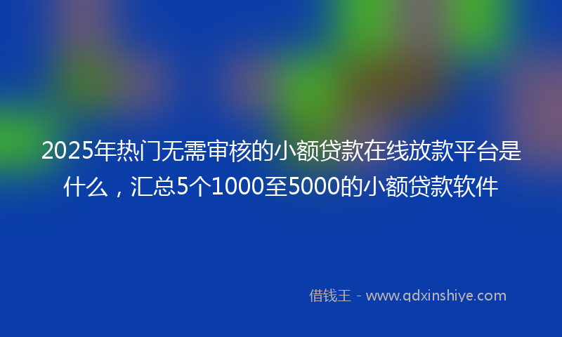 2025年热门无需审核的小额贷款在线放款平台是什么，汇总5个1000至5000的小额贷款软件