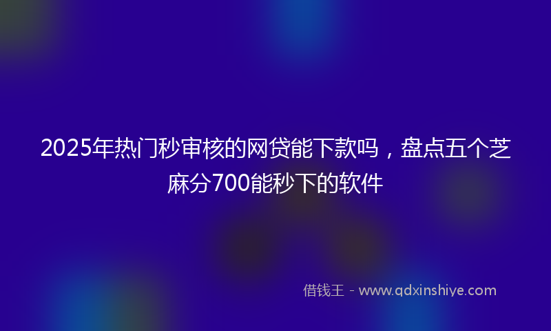 2025年热门秒审核的网贷能下款吗，盘点五个芝麻分700能秒下的软件